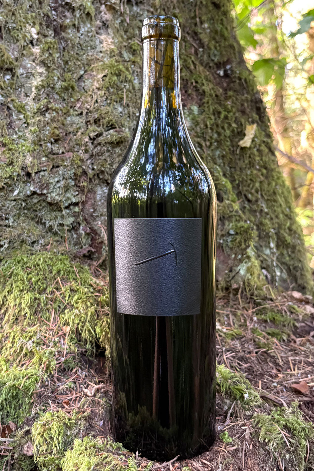 2023 Pas a Vendre no. 6 Cabernet Sauvignon