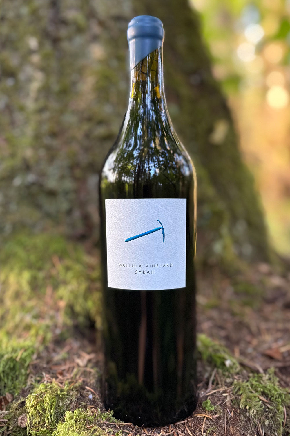 2023 Wallula Vineyard Syrah