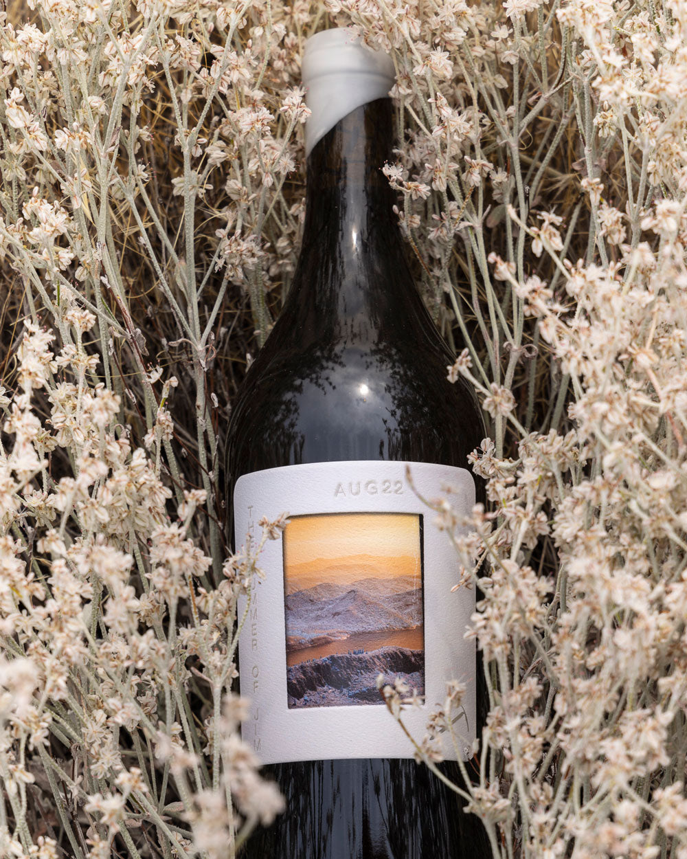 2022 Sauvignon Blanc, The Summer of Jim