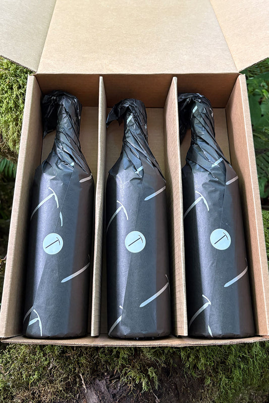 Three bottles wrapped in black paper with a blue label in a cardboard box outdoors.