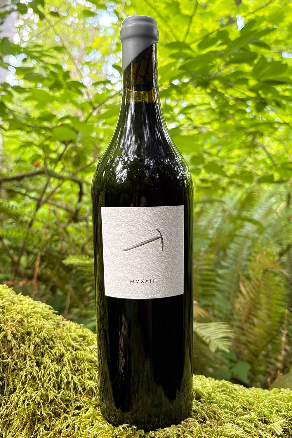 Horse Heaven Hills Cabernet Sauvignon from Piolet Vintners