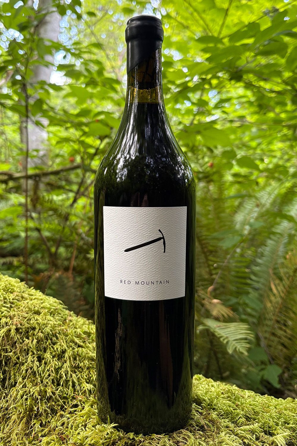 Piolet Reserve Red Mountain Cabernet Sauvignon