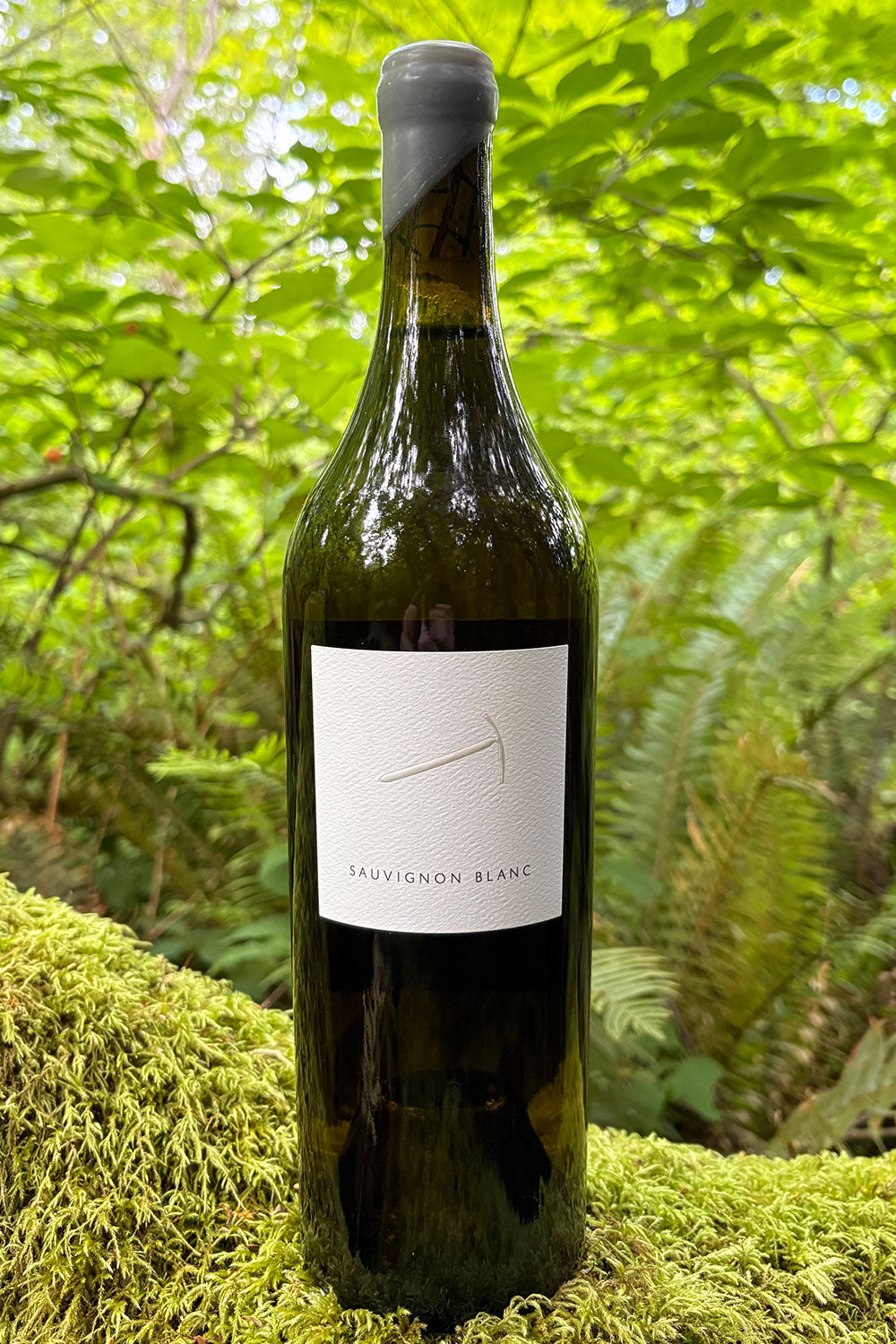 2023 Piolet Sauvignon Blanc