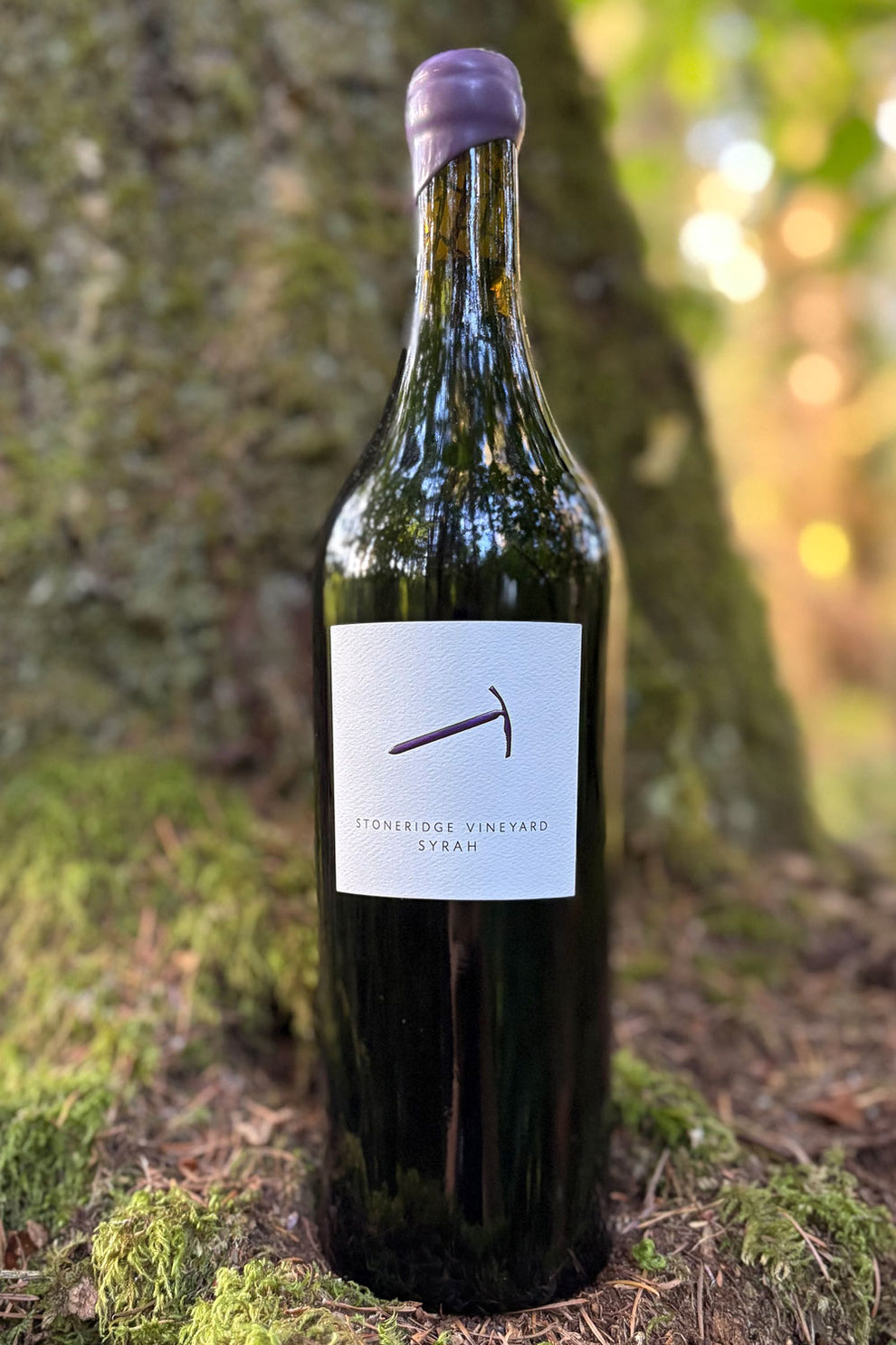 2023 Stoneridge Vineyard Syrah – Piolet Vintners