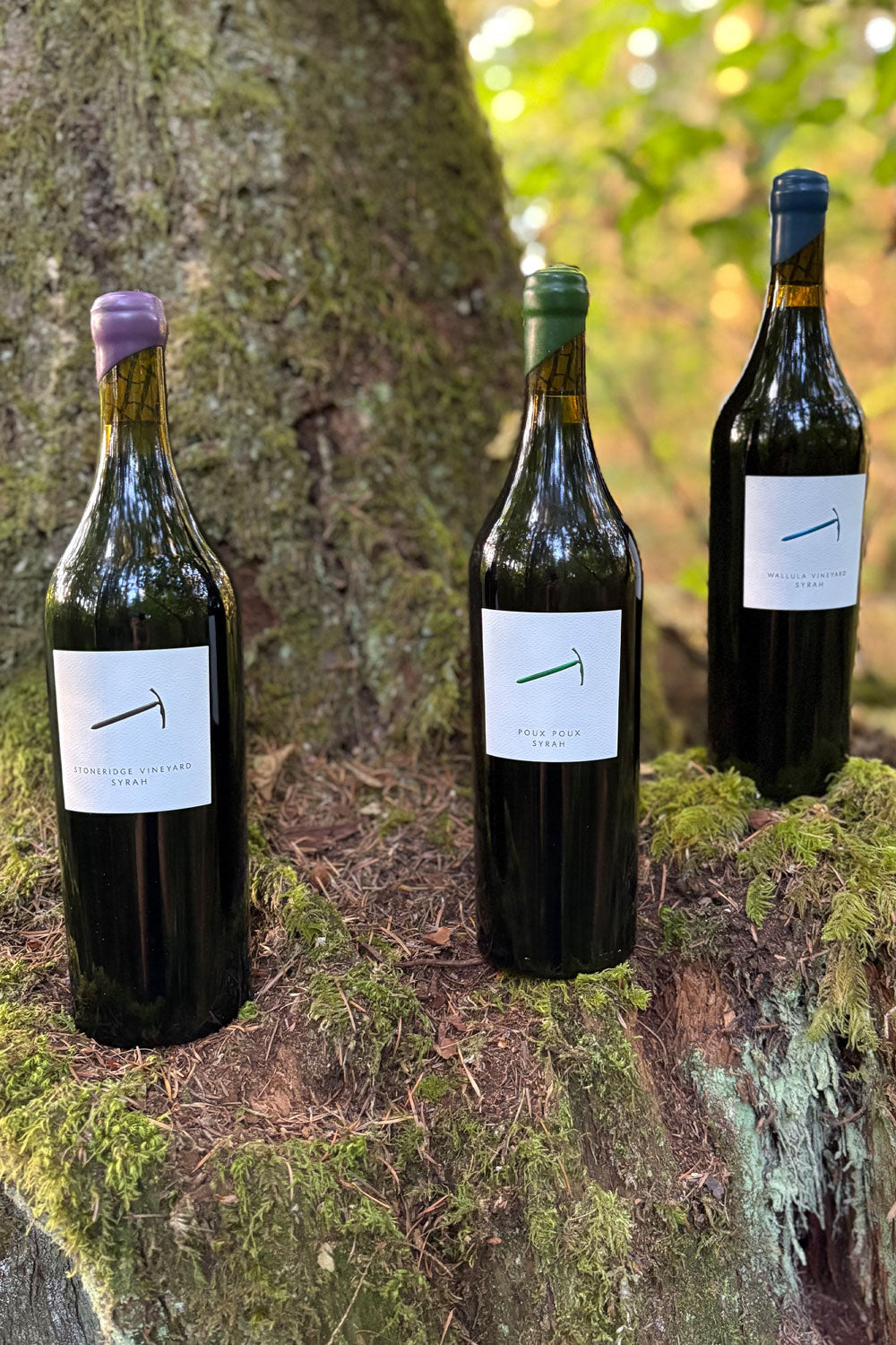 2023 Single Vineyard Syrah 3 Pack