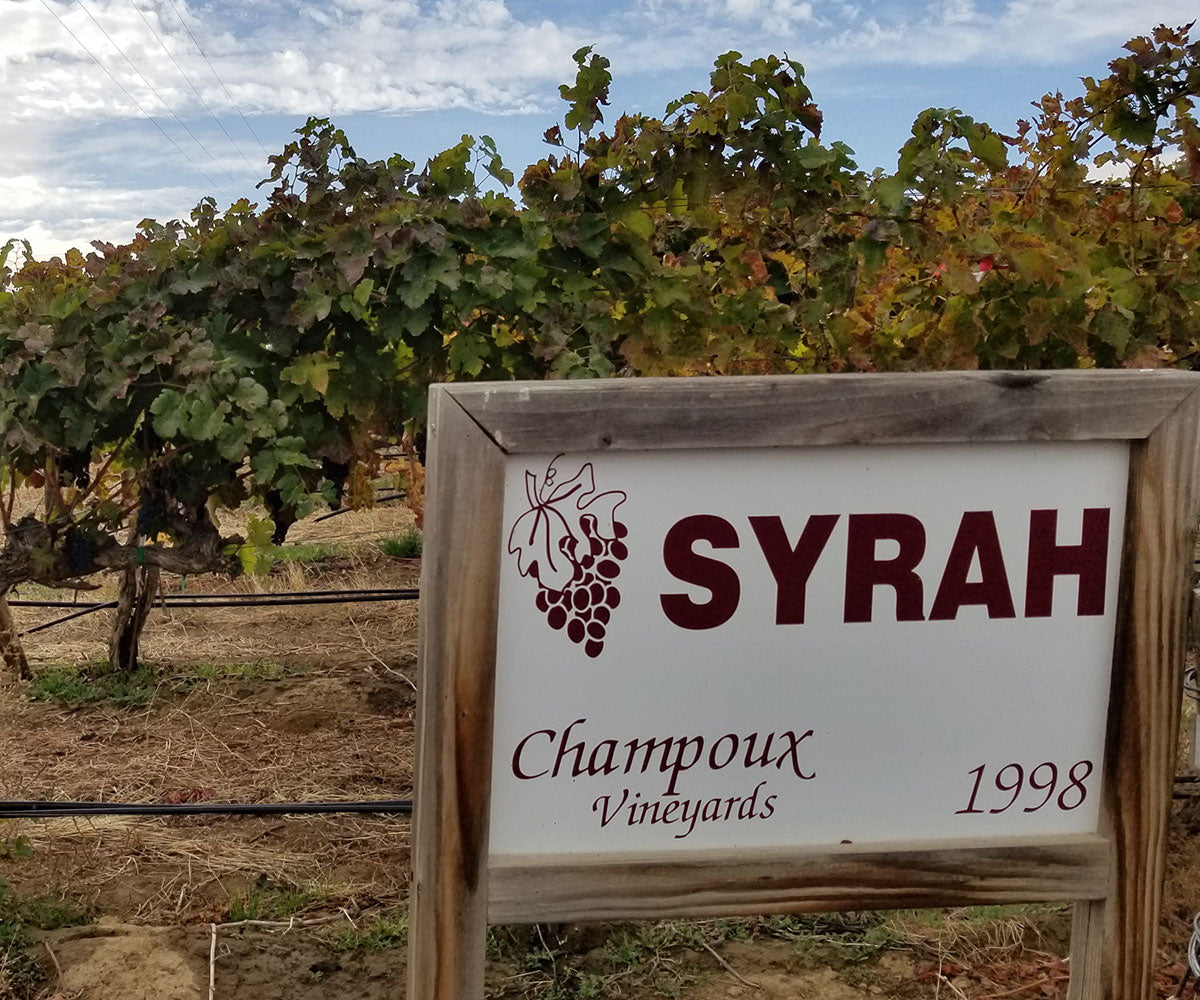 2023 Poux Poux Syrah